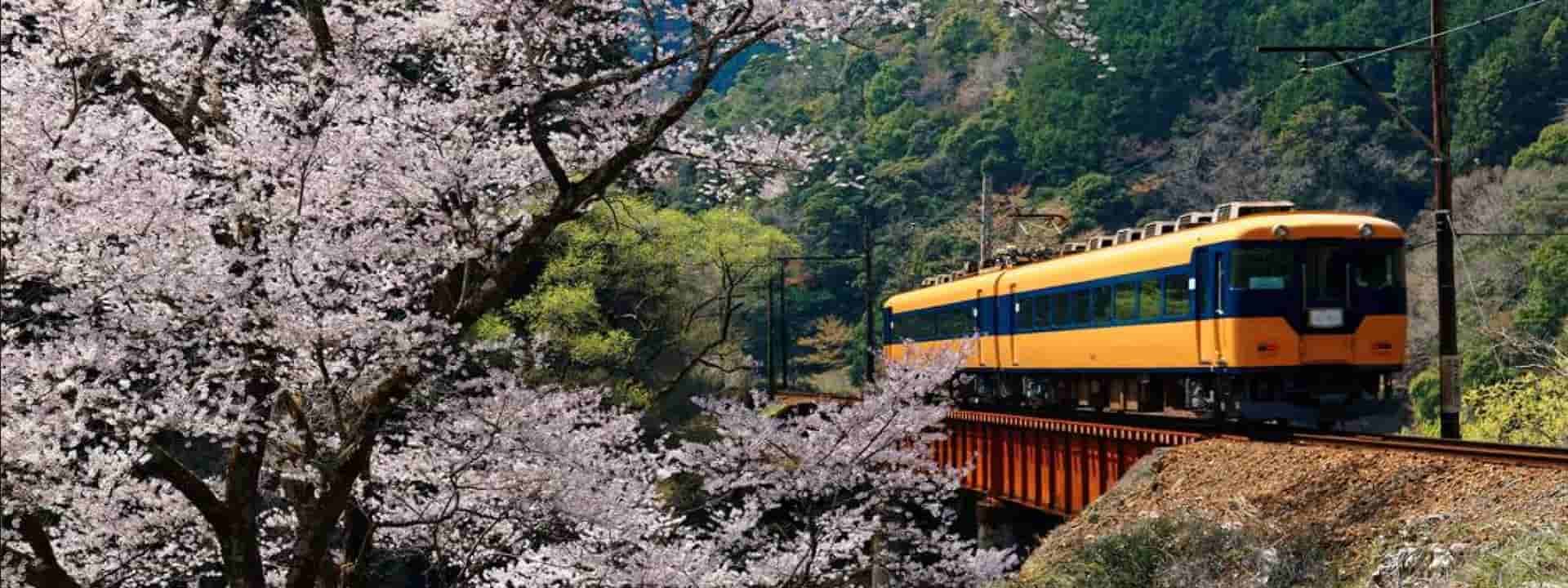 ประกันเดินทางญี่ปุ่น ท่องเที่ยวหายห่วง